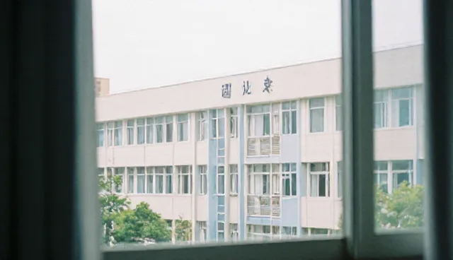 运维效率提升中适配方案的应用条件与选择依据